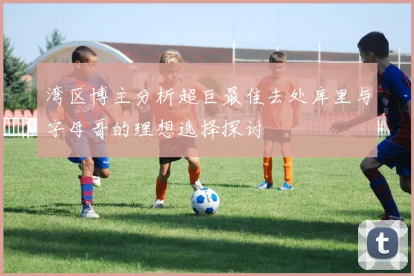 湾区博主分析超巨最佳去处库里与字母哥的理想选择探讨