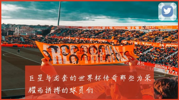 巨星与龙套的世界杯传奇那些为荣耀而拼搏的球员们