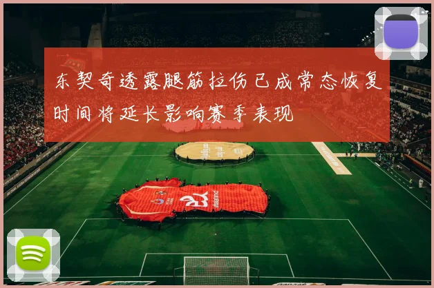 东契奇透露腿筋拉伤已成常态恢复时间将延长影响赛季表现